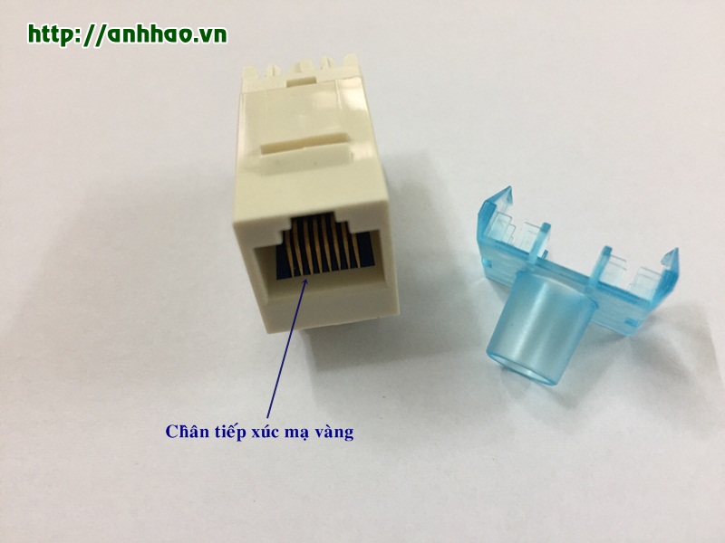 Ổ cắm nhân mạng wallplate cat5 AMP/ Commscope PN: -1375191-1